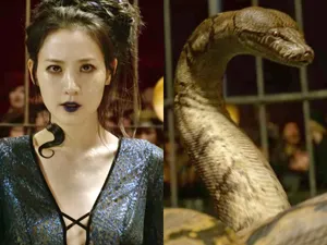 Nagini Humanand Snake Form Wallpaper