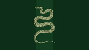 Nagini Serpent Illustration Harry Potter Wallpaper