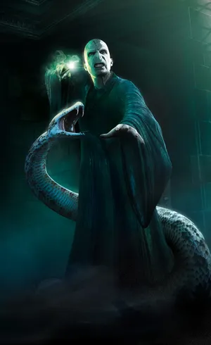Nagini, The Loyal Serpent Of Lord Voldemort In Harry Potter Wallpaper