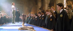 Nagini, The Serpent Companion Of Lord Voldemort In The Harry Potter Series Wallpaper