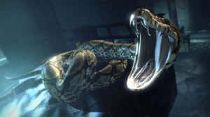 Nagini, Voldemort's Enigmatic Snake Companion In Harry Potter Wallpaper