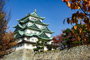 Nagoya Green Edo Castle Wallpaper