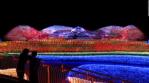 Nagoya Nabana Winter Light Illuminations Wallpaper