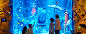 Nagoya Sea Life Wallpaper