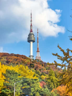 Namsan Seoul Tower Autumn Scenery Wallpaper