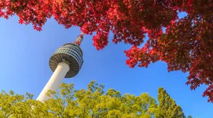 Namsan Seoul Tower Autumn View Wallpaper