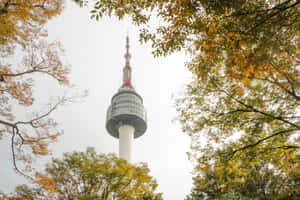 Namsan Seoul Tower Autumn View Wallpaper