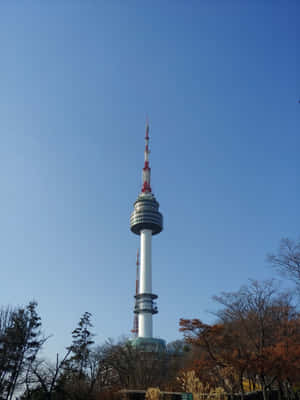 Namsan Seoul Tower Clear Sky Wallpaper