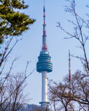 Namsan Seoul Tower Daytime View Wallpaper