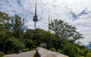 Namsan Seoul Tower Pathway Wallpaper
