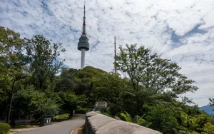 Namsan Seoul Tower Pathway Wallpaper