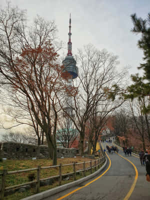 Namsan Seoul Tower Pathway Wallpaper