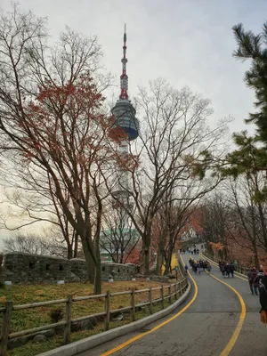 Namsan Seoul Tower Pathway Wallpaper