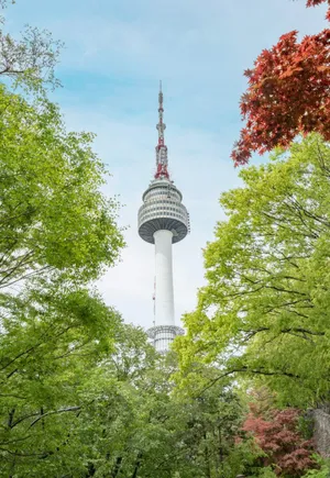 Namsan Seoul Tower Surroundedby Greenery Wallpaper