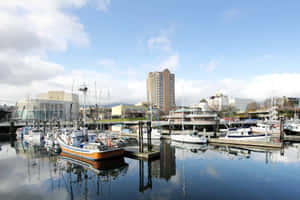 Nanaimo Marina Sunny Day Wallpaper