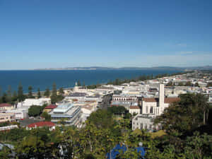 Napier_ Cityscape_ New_ Zealand Wallpaper