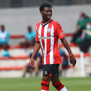 Nathan Tella Wallpaper