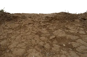 Natural Brown Crack Soil Wallpaper