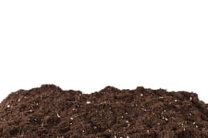 Natural Brown Soil Close Shot Wallpaper