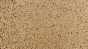 Natural Cork Texture Background Wallpaper