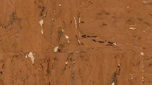 Natural Cork Texture Closeup Wallpaper