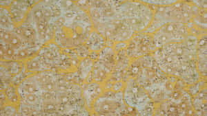 Natural Cork Texture Closeup Wallpaper