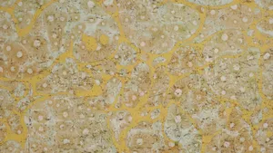 Natural Cork Texture Closeup Wallpaper