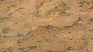 Natural Cork Texture Closeup Wallpaper