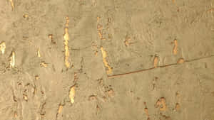 Natural Cork Texture Wallpaper