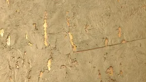 Natural Cork Texture Wallpaper