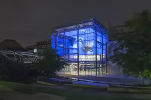 Natural History Museum Los Angeles Dinosaur Exhibit Night Wallpaper