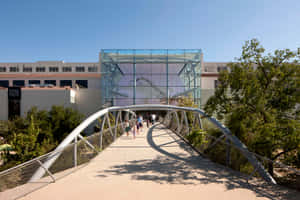 Natural History Museum Los Angeles Entrance Bridge Wallpaper