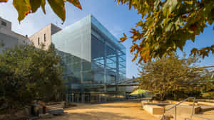 Natural History Museum Los Angeles Exterior Wallpaper