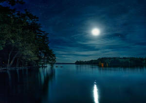 Natural Mangrove With Full Moon Wallpaper