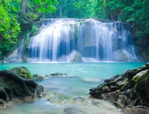 Natural Spring Water Flowing Through Lush Green Scenery Wallpaper