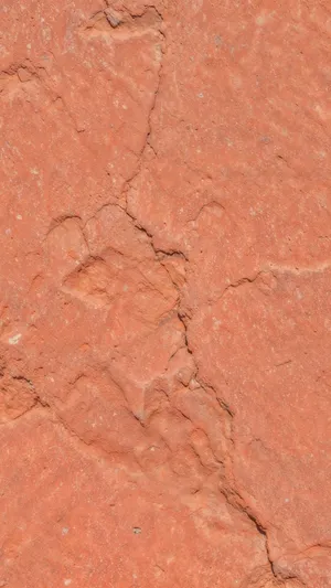 Natural Terracotta Surface Texture Wallpaper