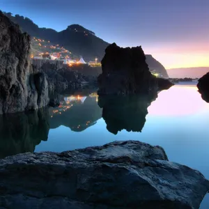 Nature At Your Fingertips Wallpaper