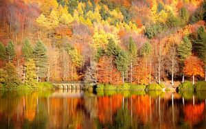 Nature In Its Most Beautiful Form-- An Autumnal Landscape Brimming With Gorgeous Fall Colors. Wallpaper