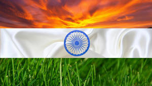 Nature Indian Flag Hd Wallpaper