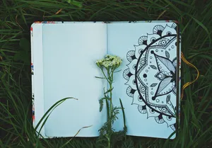 Nature Inspired Sketchbook Art Wallpaper
