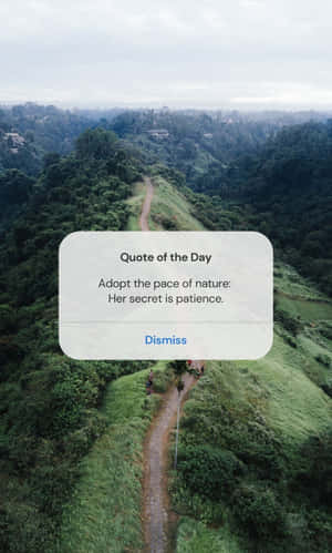 Nature Patience Quote Pathway Wallpaper