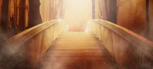 Nature's Colors Come Alive Wallpaper