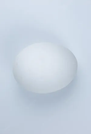 Nature's Perfect Protein - Egg Whites