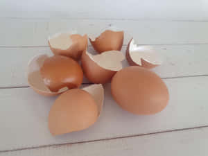 Nature's Perfection: An Eggshell Wallpaper