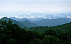 Nature’s Beauty At The Blue Ridge Mountains Wallpaper