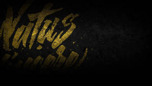 Natus Vincere Dominating The Dark Wallpaper