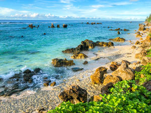 Nauru Rocky Beach Wallpaper