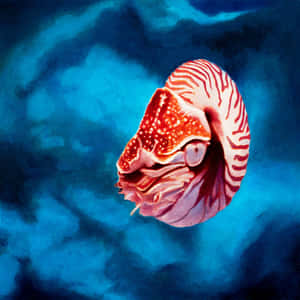Nautilusin Deep Blue Sea Wallpaper