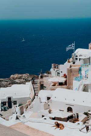 Navy Blue Sea Santorini Island Wallpaper