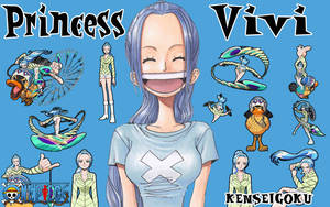 Nefertari Vivi Pirate Princess Wallpaper